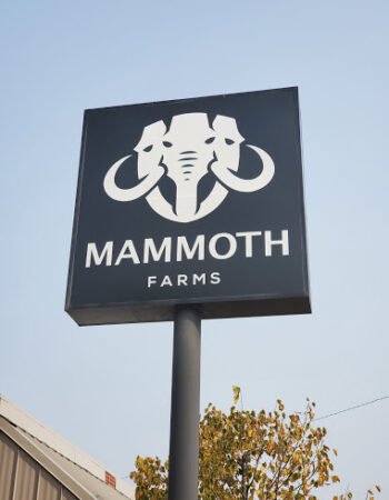 Mammoth Farms Marijuana Dispensary