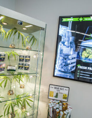 The Green Solution Recreational Marijuana Dispensary