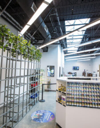 The Green Solution Recreational Marijuana Dispensary