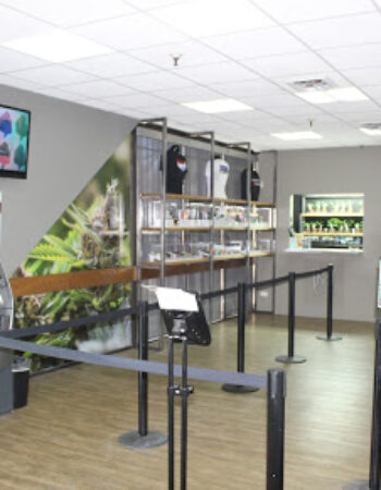 Medicine Man Dispensary Denver