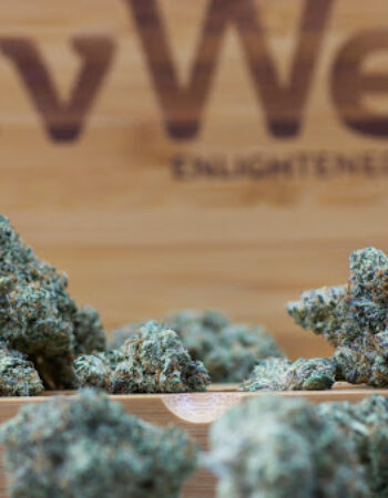 LivWell Enlightened Health Marijuana Dispensary