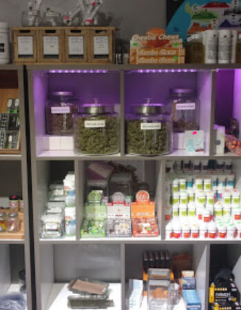 Colorado Harvest Company | Recreational Dispensary