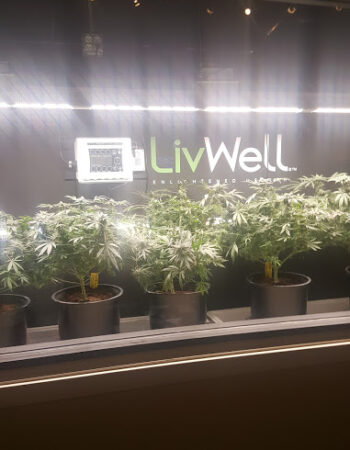 LivWell Enlightened Health Marijuana Dispensary