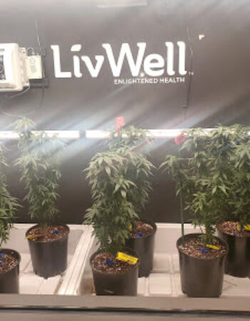 LivWell Enlightened Health Marijuana Dispensary