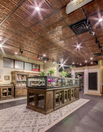 Diego Pellicer – Recreational Dispensary