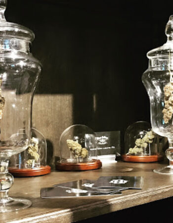 Diego Pellicer – Recreational Dispensary