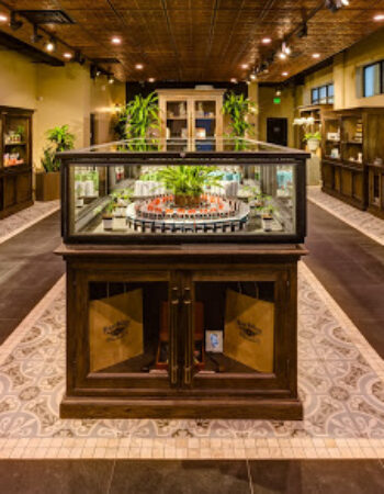 Diego Pellicer – Recreational Dispensary