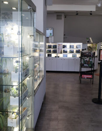 The Green Solution Recreational Marijuana Dispensary