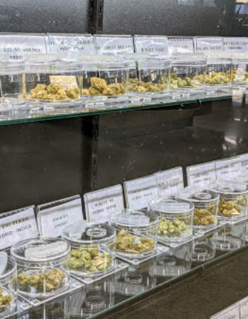 Wayne Releaf Provisioning & Cultivation Center