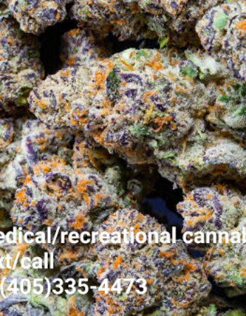 Exclusive Ann Arbor Medical & Recreational Marijuana