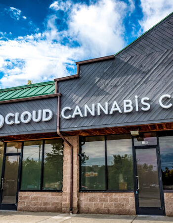 Cloud Cannabis Co. Ann Arbor – Recreational & Medical