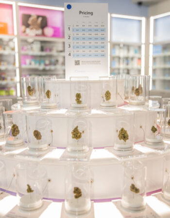 Cloud Cannabis Co. Ann Arbor – Recreational & Medical