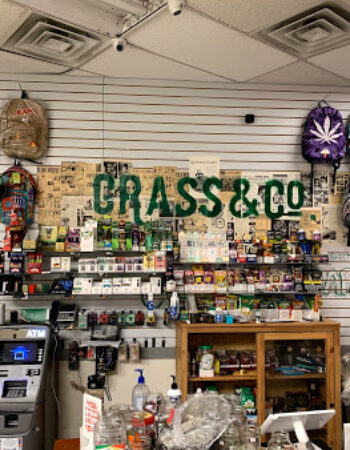 Grass & Co. Smoke Shop, CBD Oil & CBD Flower