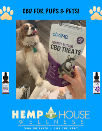 Hemp House Wellness: A CBD Boutique