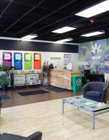 Ajoya | Lakewood CO Medical Marijuana Dispensary