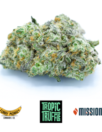 Mission Worcester Cannabis Dispensary