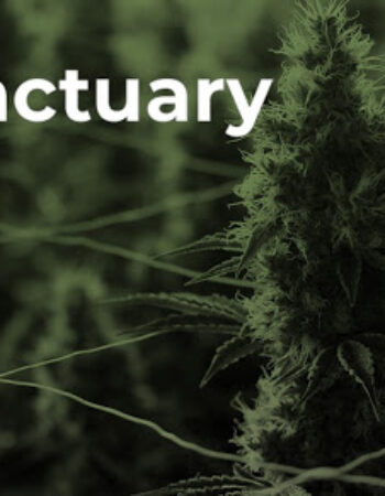 Sanctuary Medicinals