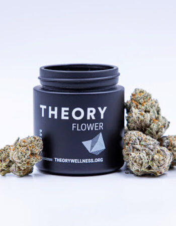Theory Wellness Chicopee: Recreational & Medical Marijuana Dispensary