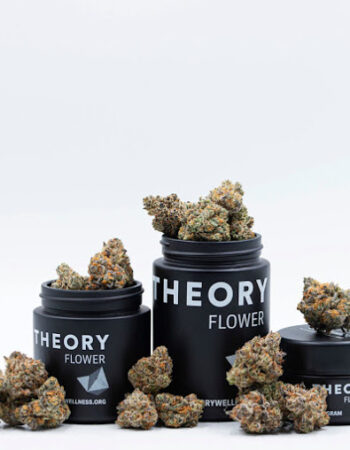 Theory Wellness: Medical Marijuana Dispensary MA