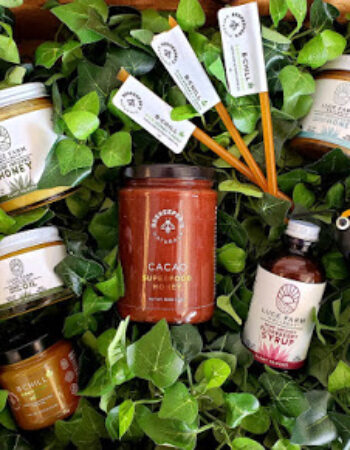 CBDBees Health and Wellness Boutique