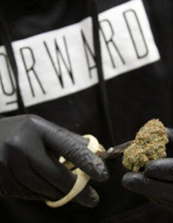 Forward Cannabis