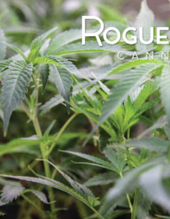 Rogue Valley Cannabis