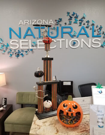 Arizona Natural Selections of Mesa Dispensary