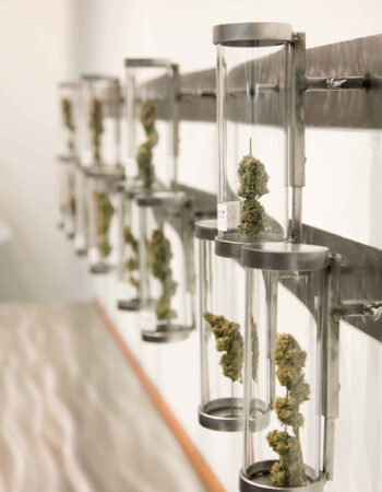 Shango Marijuana Dispensary Portland