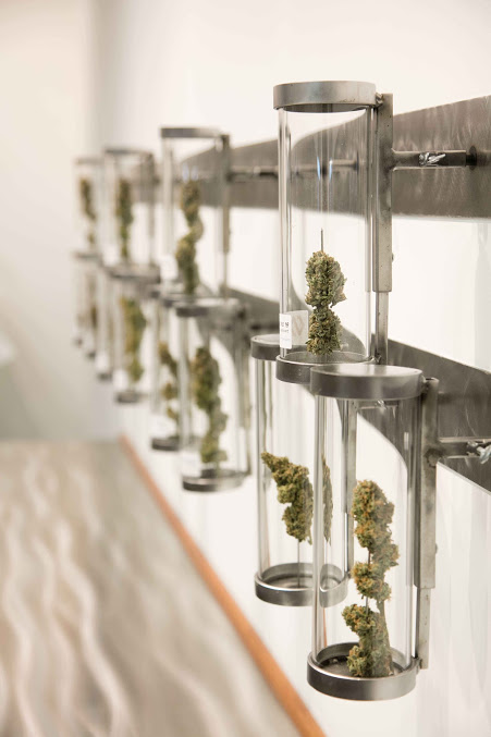 Shango Marijuana Dispensary Portland