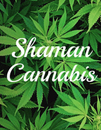 Shaman Cannabis