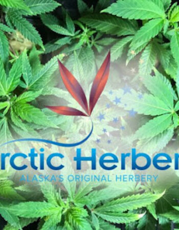 Arctic Herbery