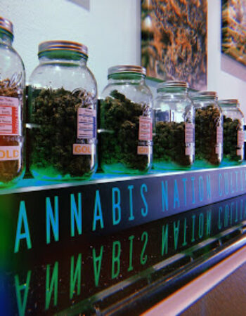 Cannabis Nation – Oregon City Dispensary