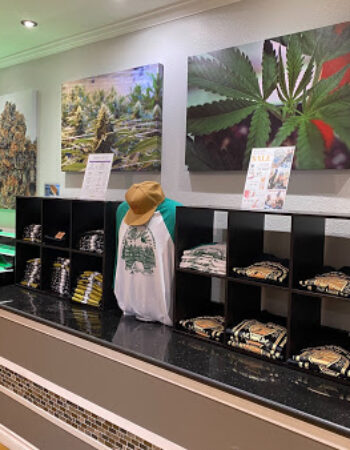 Cannabis Nation – Oregon City Dispensary